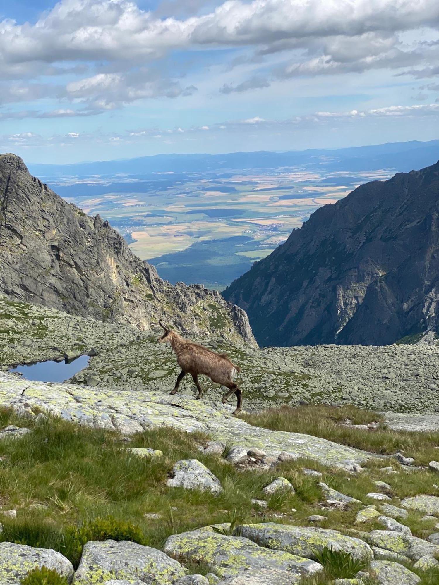 Hotel Pension Tatrasport Zampa Wysokie Tatry Zewnętrze zdjęcie